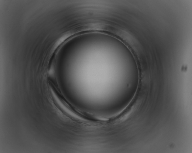 X0000096691081200802051340
