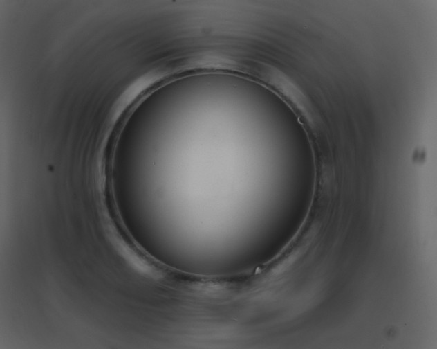 X0000096691082200802051340