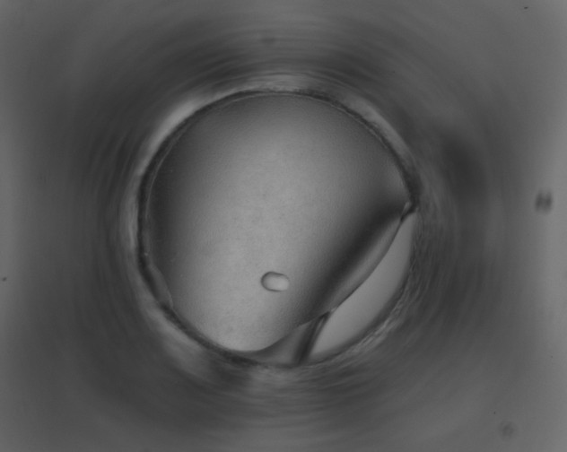 X0000096691083200802051340