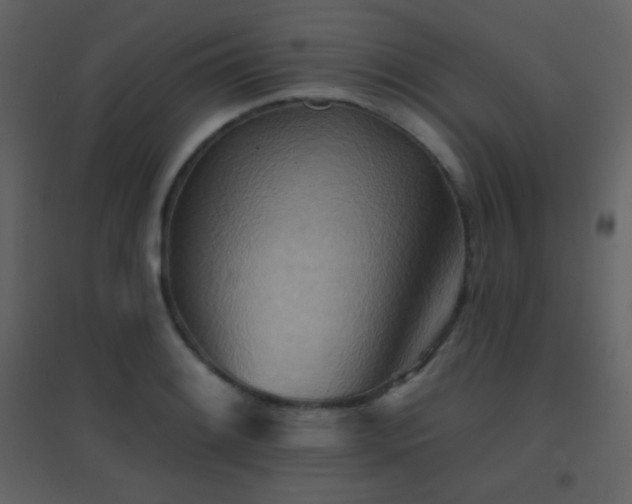 X0000096691084200802051340