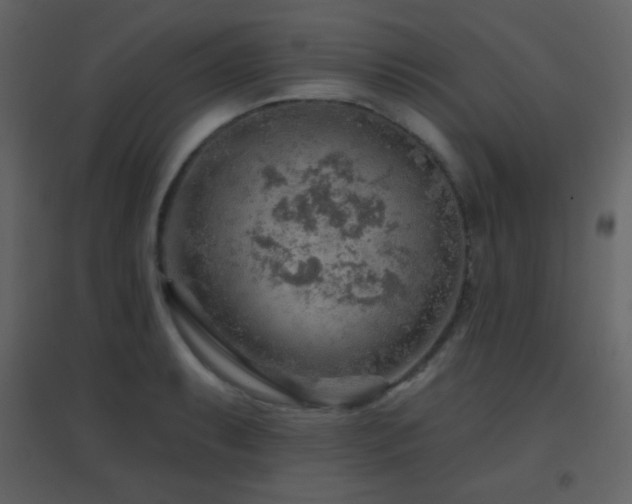 X0000096691087200802051340