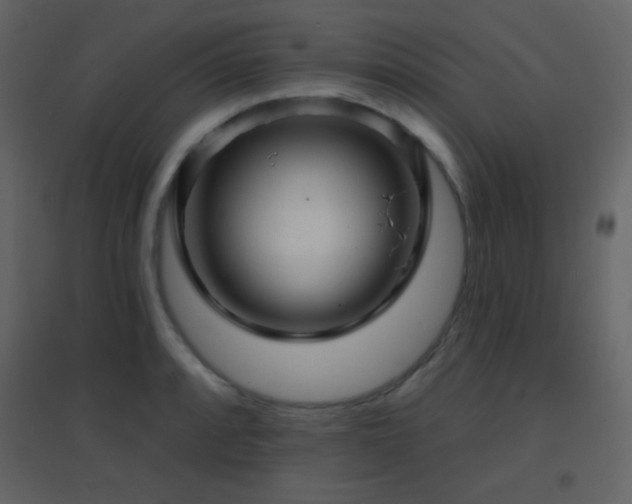 X0000096691088200802051340