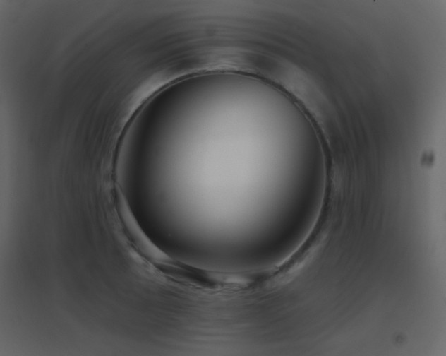 X0000096691089200802051340