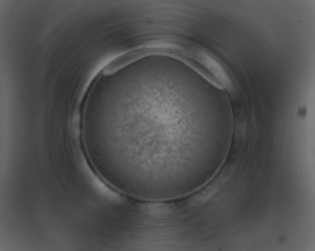X0000096691092200802051340