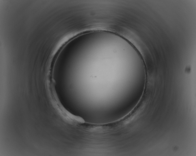 X0000096691093200802051340