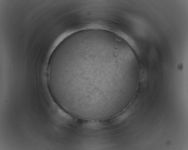 X0000096691094200802051340