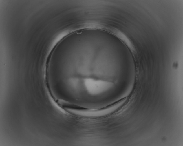 X0000096691095200802051340