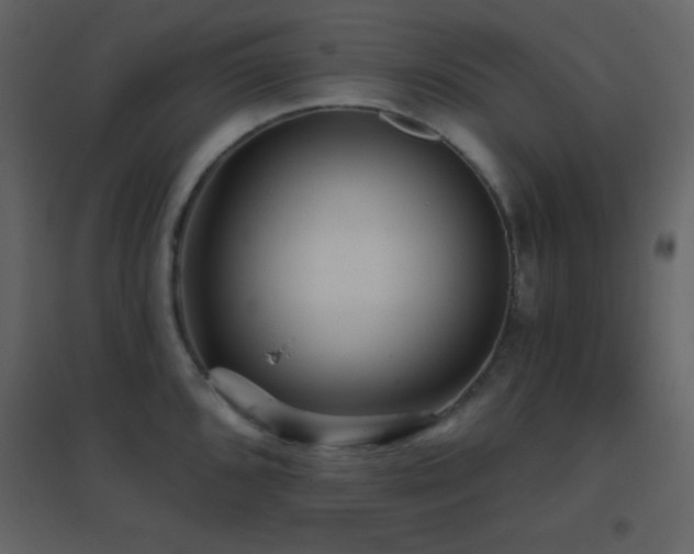 X0000096691096200802051340