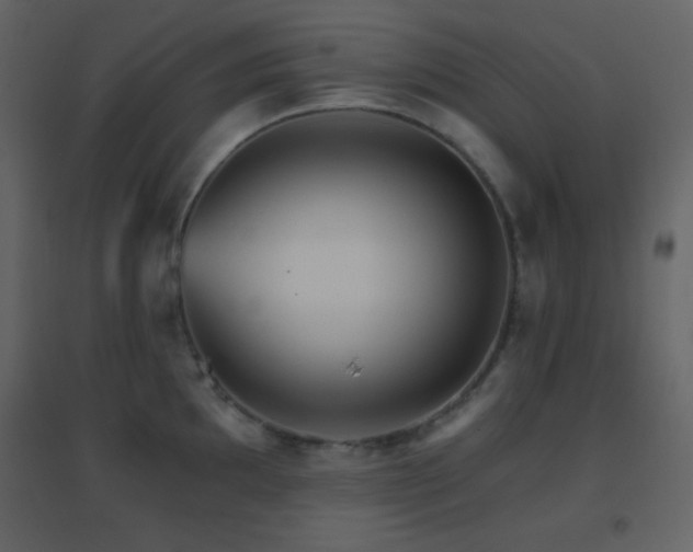 X0000096691097200802051340