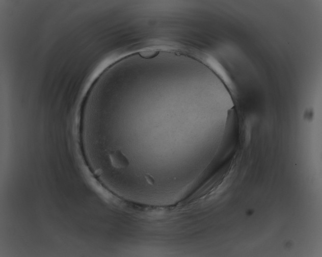 X0000096691099200802051340