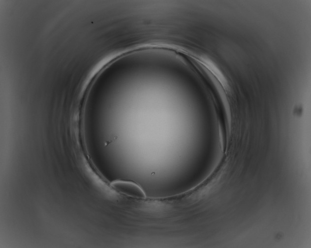 X0000096691100200802051340