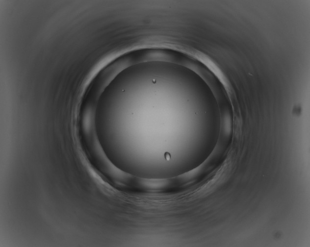 X0000096691101200802051340