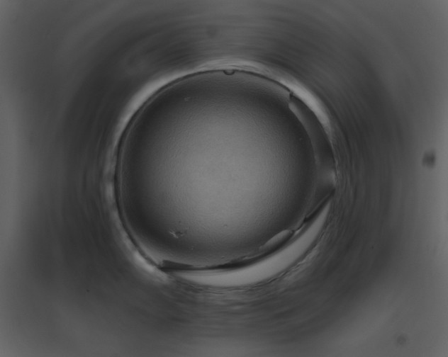 X0000096691102200802051340