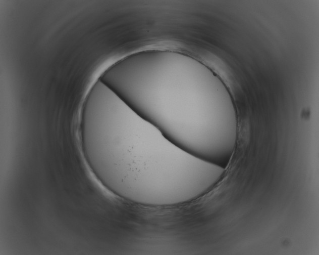 X0000096691103200802051340