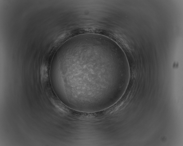 X0000096691106200802051339