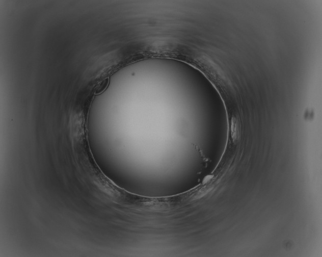 X0000096691107200802051339