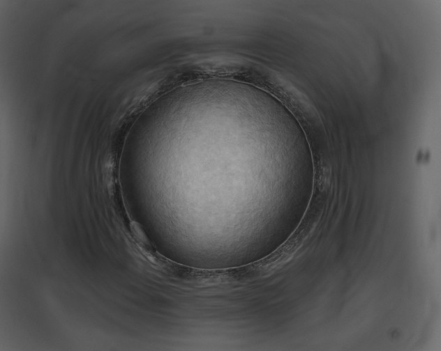 X0000096691108200802051339