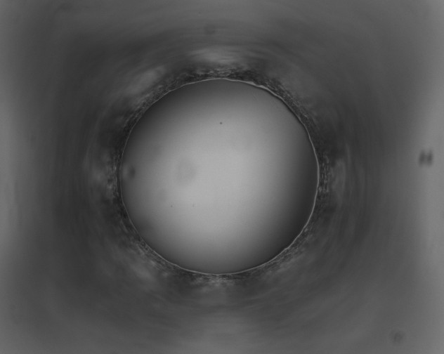 X0000096691109200802051339