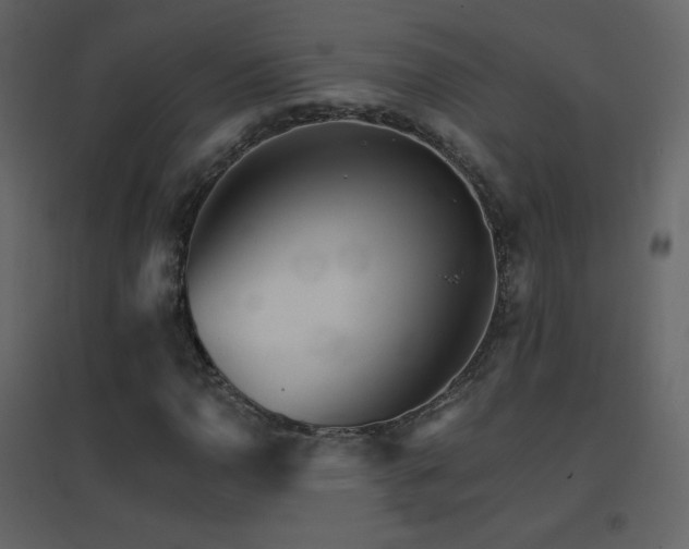 X0000096691110200802051339