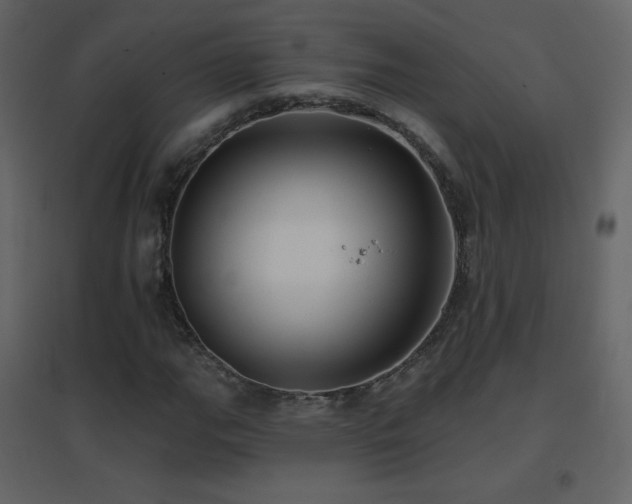 X0000096691111200802051339