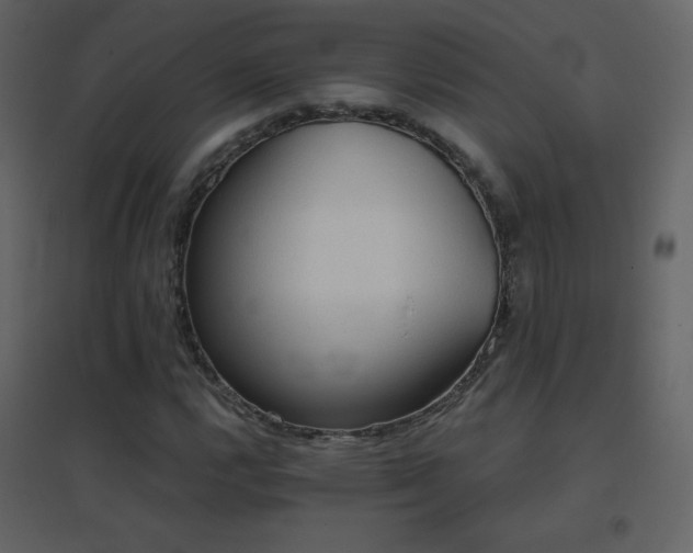 X0000096691112200802051339