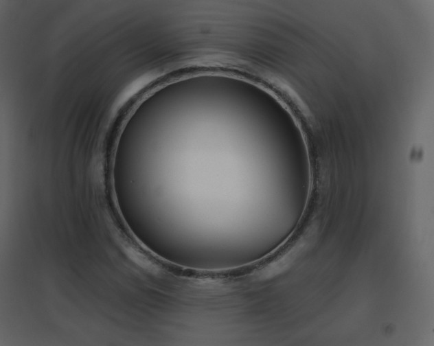 X0000096691114200802051339