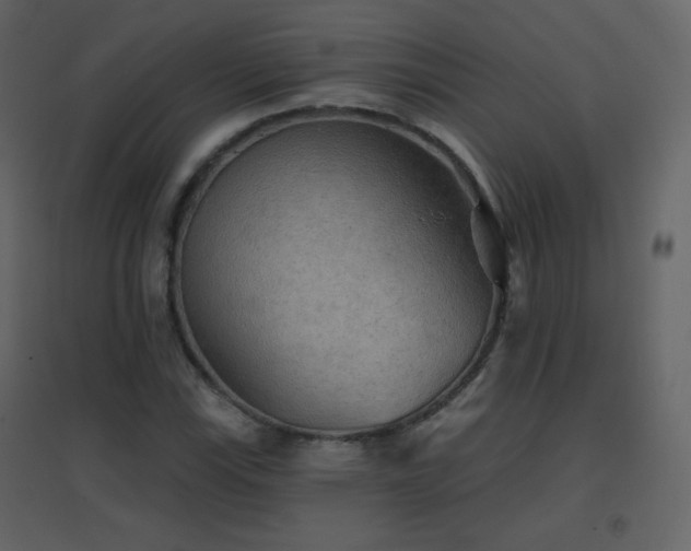 X0000096691115200802051339