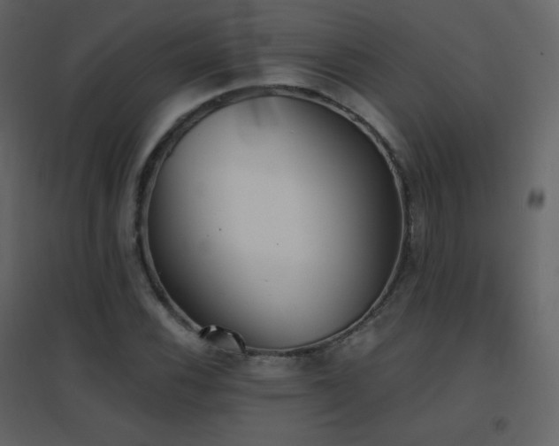 X0000096691116200802051339