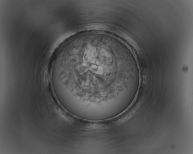 X0000096691117200802051339