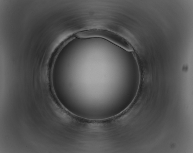 X0000096691118200802051339