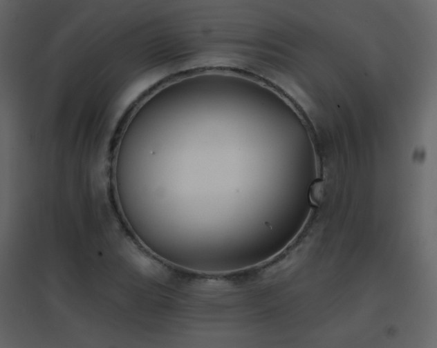 X0000096691119200802051339