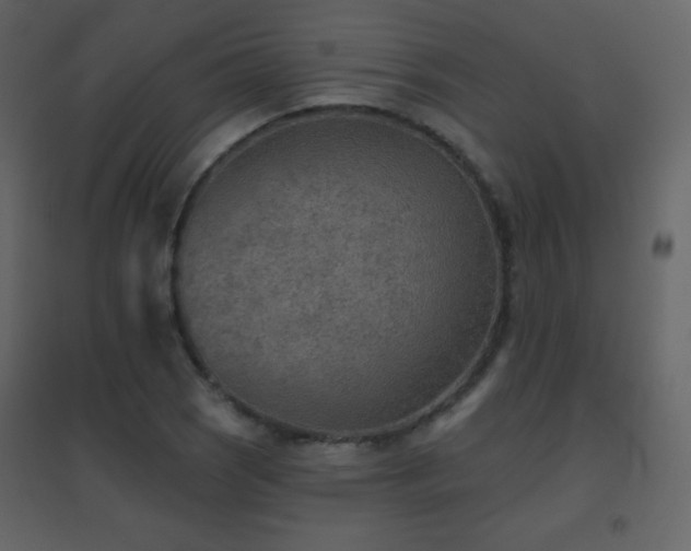 X0000096691121200802051339