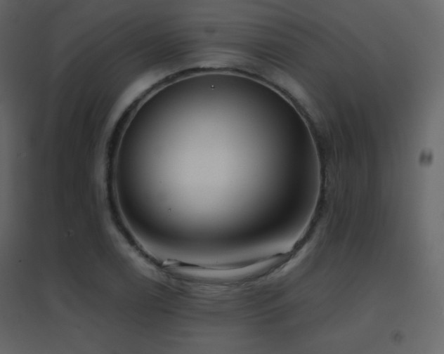 X0000096691122200802051339