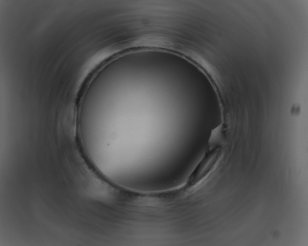 X0000096691123200802051339