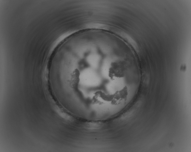 X0000096691125200802051339