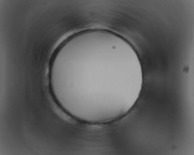 X0000096691126200802051339