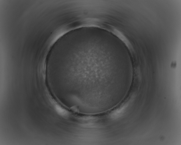 X0000096691127200802051339