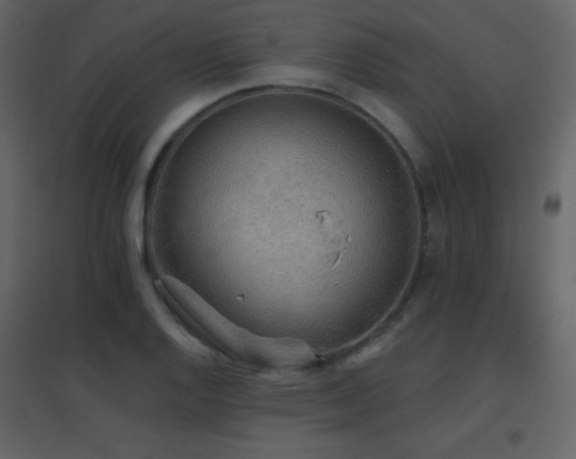 X0000096691128200802051339