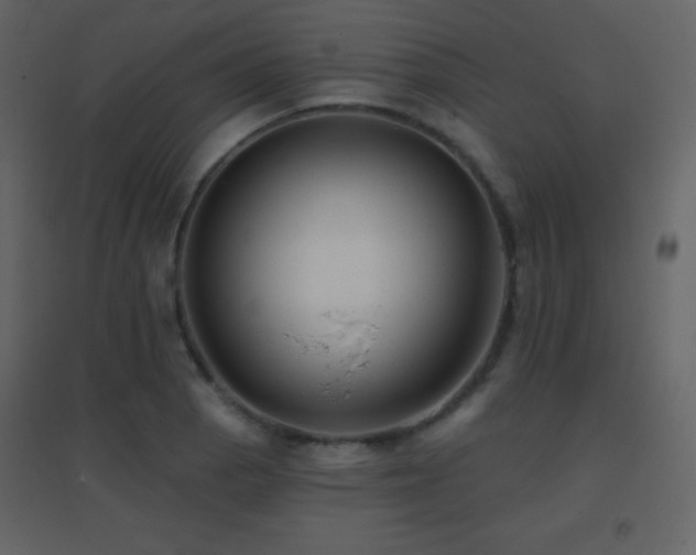 X0000096691129200802051339