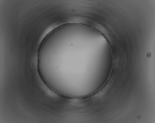 X0000096691130200802051339
