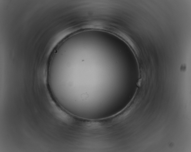 X0000096691131200802051339