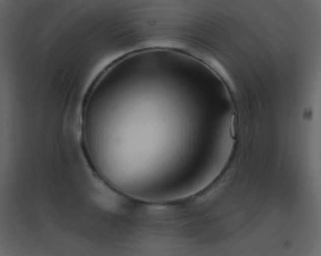 X0000096691132200802051339