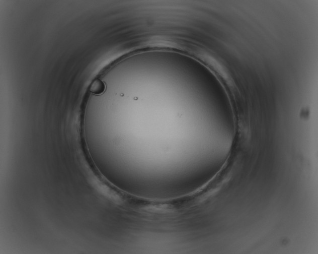 X0000096691133200802051339