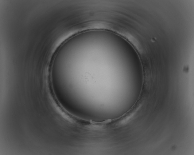 X0000096691134200802051339