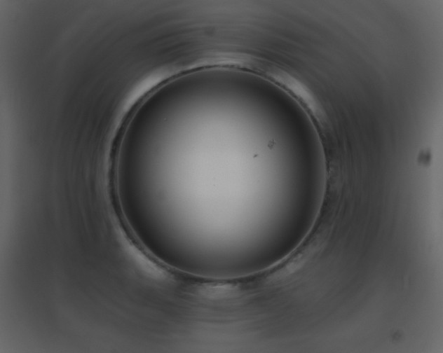 X0000096691135200802051339