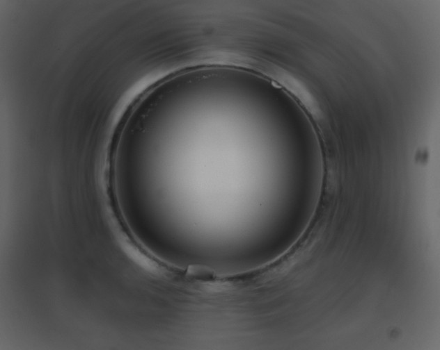 X0000096691136200802051339