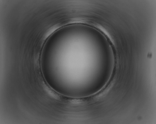 X0000096691137200802051339