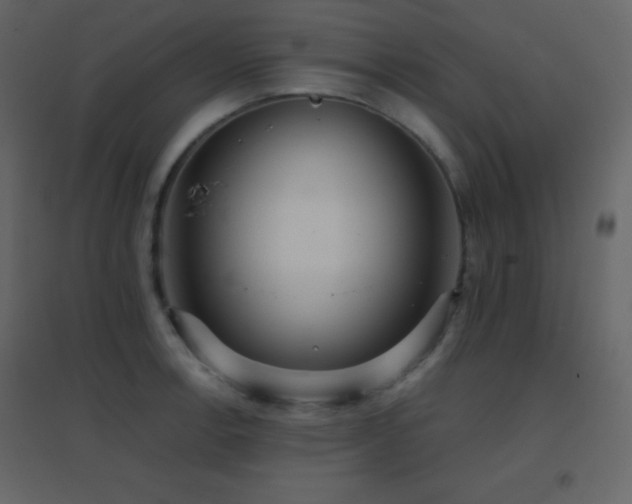 X0000096691138200802051339