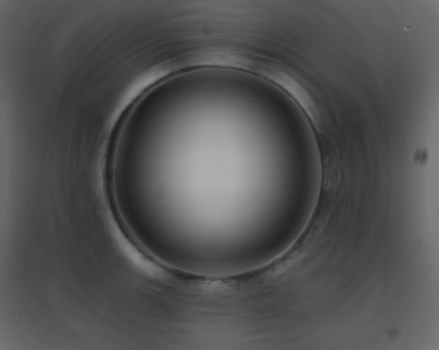 X0000096691139200802051339