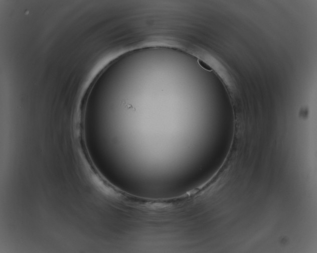 X0000096691140200802051340